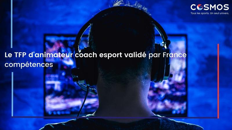 TFP animateur coach esport