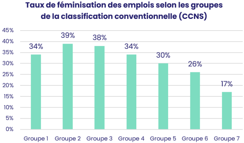 Taux de féminisation des emplois selon les groupes de la classification conventionnelle (CCNS)